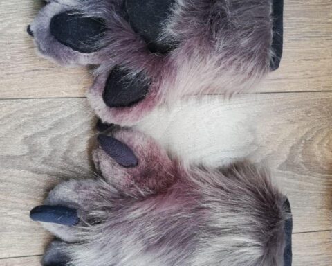 Fursuit Puppy White Star Paws