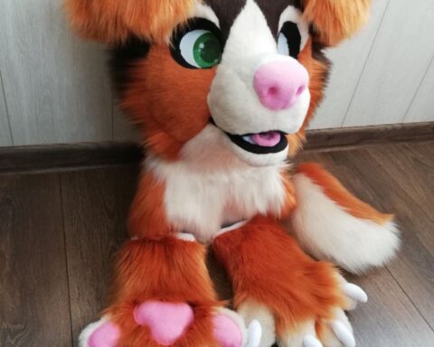 Ausi Fursuit Partial