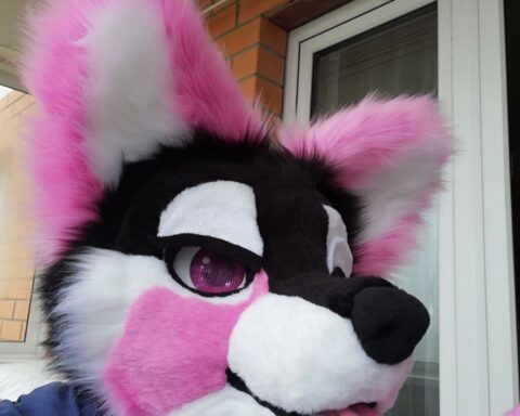 Fursuit Naughty puppy head