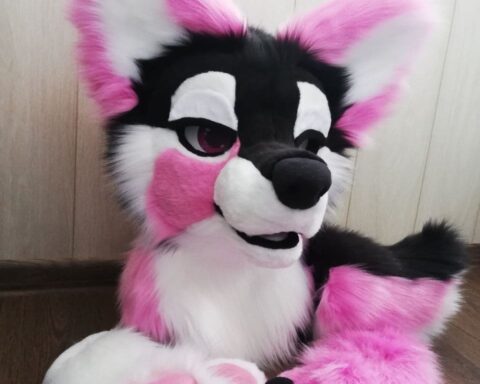 Naughty puppy fursuit