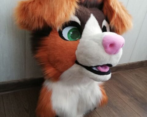 Ausi Fursuit Head