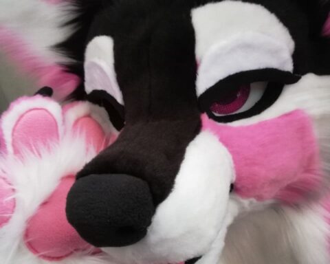 Fursuit Naughty puppy head