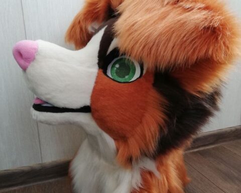 Ausi Fursuit Head