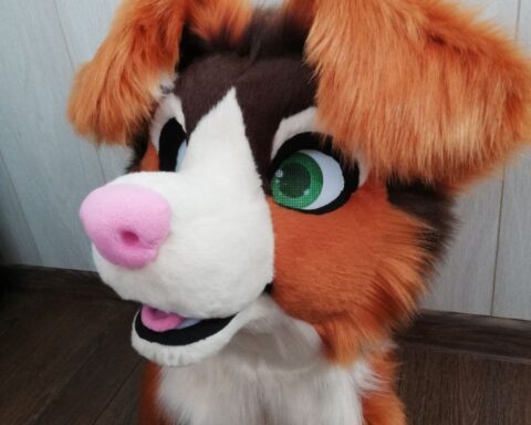 Ausi Fursuit Head