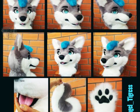 Fursuit Husky