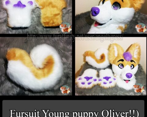 Fursuit Young puppy Oliver