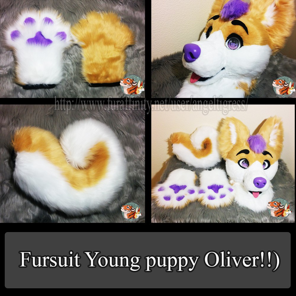 Fursuit Young puppy Oliver