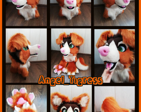 Australian Shepherd NEW Fursuit