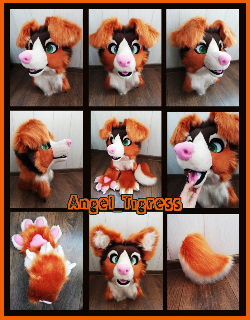 Australian Shepherd NEW Fursuit