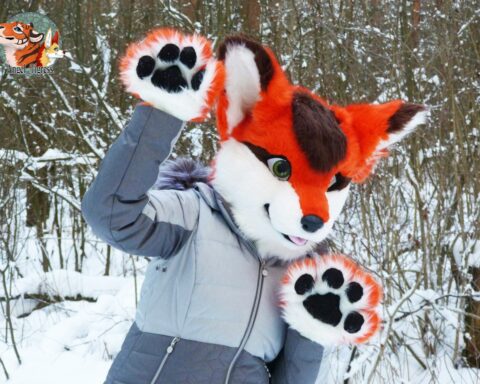 Partial Fursuit Photo Cute fox