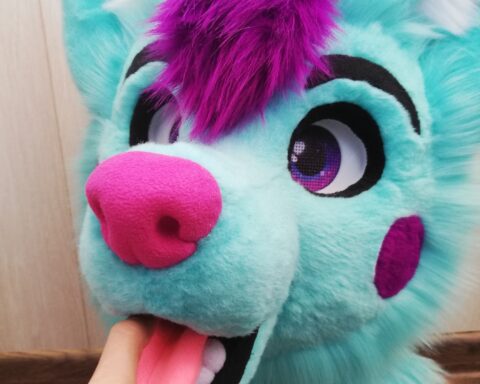 fursuit Aqua Dog head