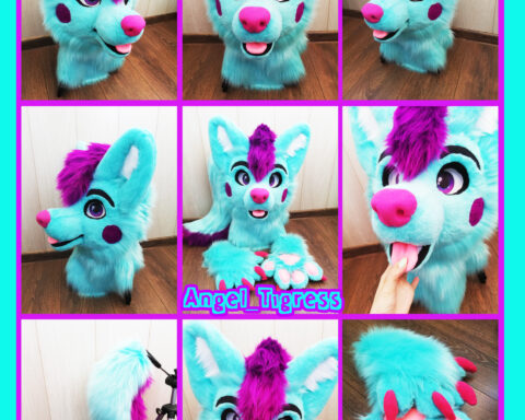 fursuit Aqua Dog