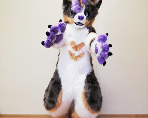 Ausi Full Fursuit 2022