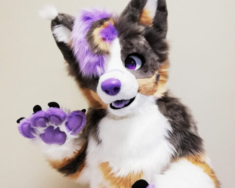 Ausi Full Fursuit 2022