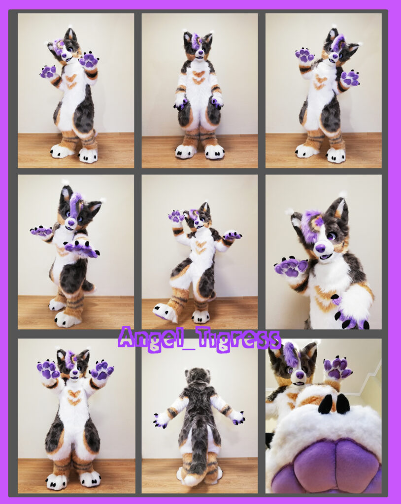 Ausi Full Fursuit 2022