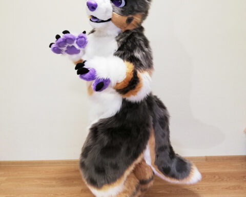 Ausi Full Fursuit 2022