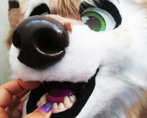 Fenek full fursuit head