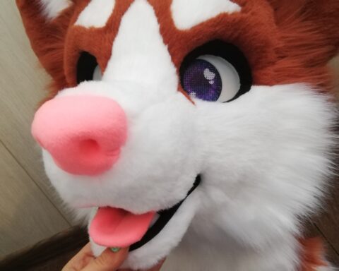 Chocolate husky partial fursuit head