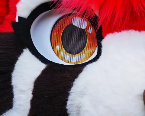 Red Panda Fursuit Full Head