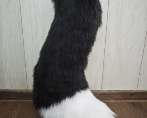 Fox Fursuit Full with digi legs tail