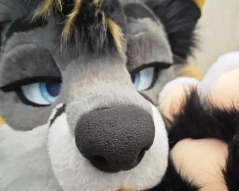Fox Fursuit Full with digi legs head