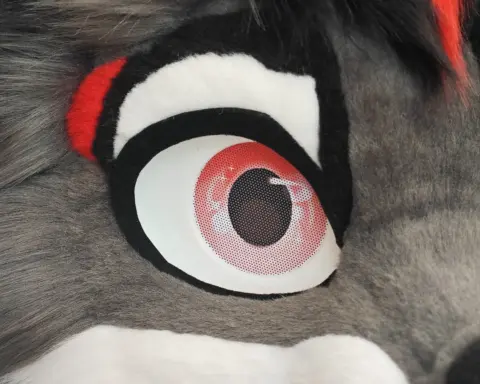 Fox Fursuit Partial (Normal) Head